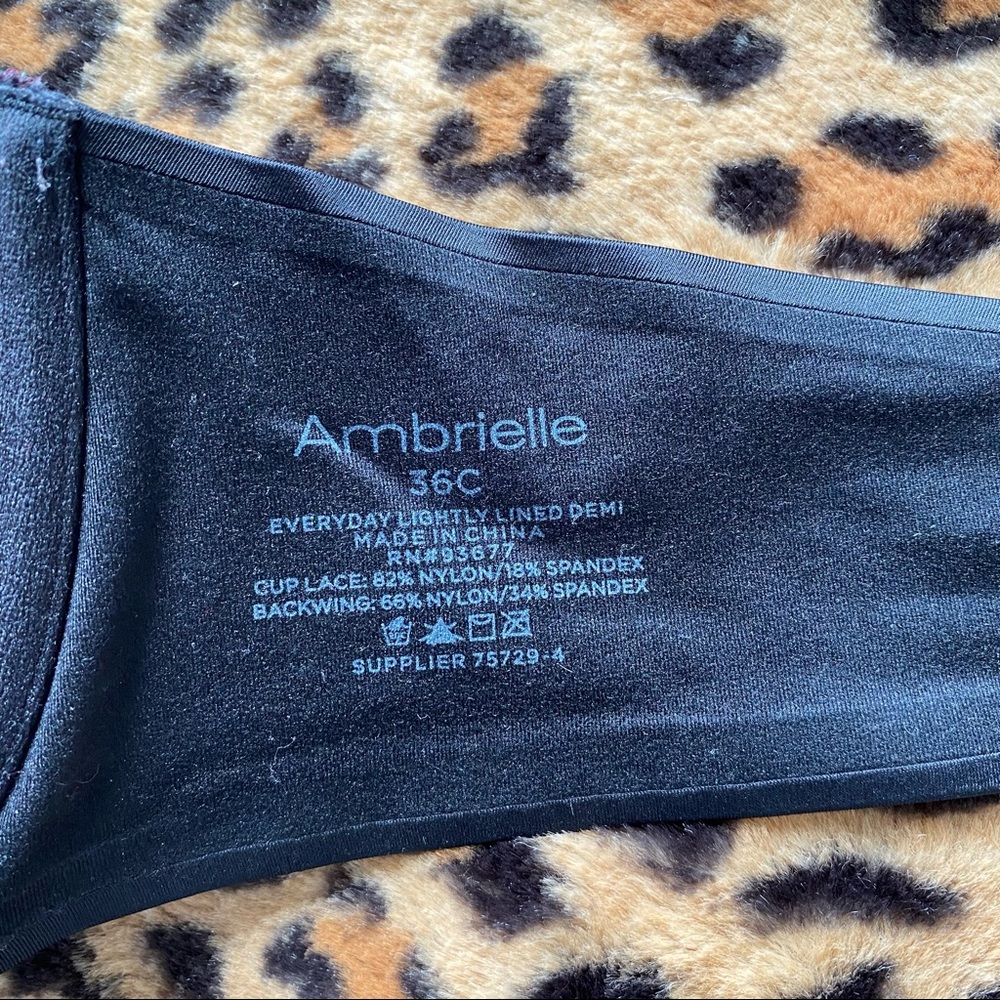 Ambrielle Bra - image 3